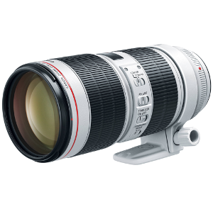 Canon EF 70-200mm f:2.8L IS III USM Lens